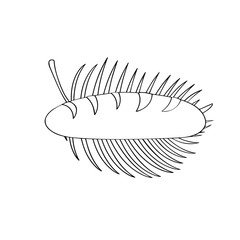 Outline of a bread with palm leaf. Vector illustration design