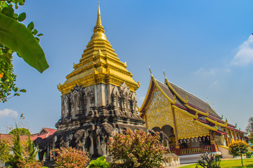 Fototapeta premium Beautiful church and golden Lanna-style chedi supported by rows of elephant-shaped buttresses at Wat Chiang Man, oldest temple in Chiang Mai, Thailand, built in 1296 by King Mengrai of Lanna kingdom.