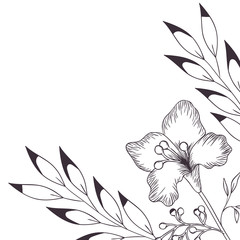 pattern plants and herbs isolated icon