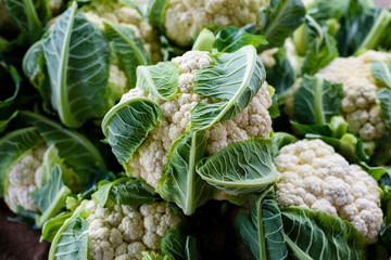 fresh cauliflower closeup