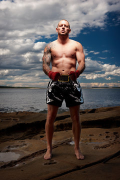 Boxer standing on beach 