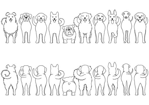 dogs breed line art border set
