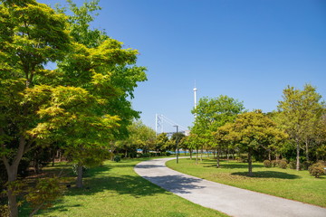 Fresh verdure trees and promenade in Sakaide city,Shikoku,Japan