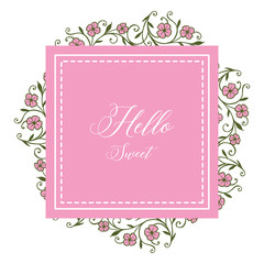 Vector illustration write hello sweet with white backdrop flower frame hand drawn