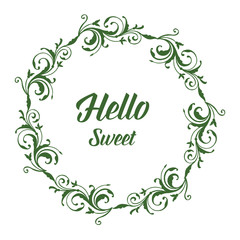 Vector illustration write hello sweet with white backdrop flower frame hand drawn