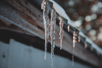 icicles hanging from roof of a sugar house, Black Forest, Canada