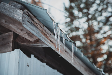 Naklejka premium icicles hanging from roof of a sugar house, Black Forest, Canada