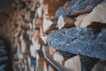 Pile of wooden log, Black Forest, Canada