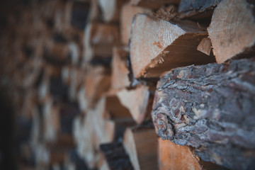 Pile of wooden log, Black Forest, Canada