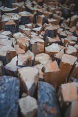 Pile of wooden log, Black Forest, Canada