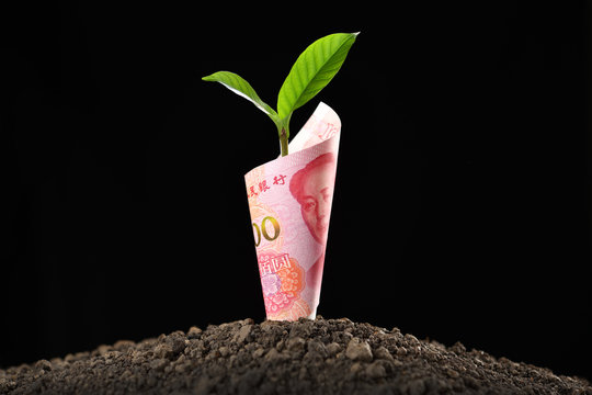 Image of China Yuan banknote with plant growing on top for business, saving, growth, economic concept isolated on black background