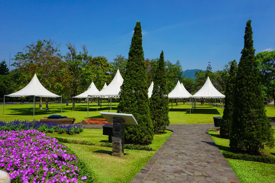 pathway from stone with going to white tent on the park - photo indonesia bogor