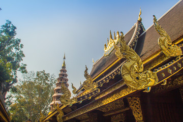 Fototapeta premium Beautiful Thai architecture Buddhist temple at Wat Ram Poeng (Tapotaram) temple, Chiang Mai, Thailand. Wat Rampoeng is one of famous place for studying meditation, not far from the Chiang Mai airport