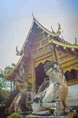 Fototapeta premium Lanna style Buddhist church at Wat Phra Singh(Temple of the Lion Buddha) with blue sky background. Wat Phra Singh is an important Buddhist monastery and temple on the west side of Chiang Mai, Thailand