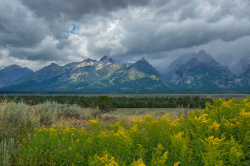 Fototapeta premium Teton on Cloudy Day