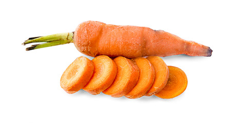 Carrot with white background