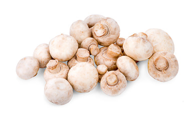 Fresh mushrooms isolated on a white background. Clipping path