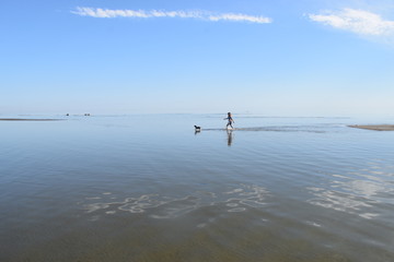 go swimming with the dog