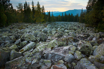 View along rocky glade in forest with mountain silhouettes in foreground 