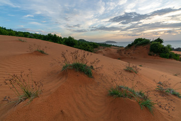 Sandy Hills Vietnam