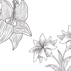 pattern plants and herbs isolated icon