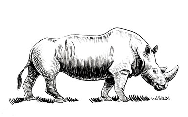 Big strong rhino. Ink black and white drawing