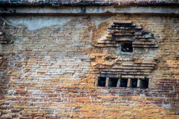 Pigeon live in the old brick holes of the ruin pagoda.