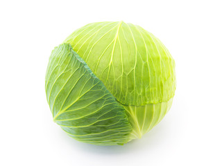 Fototapeta premium cabbage