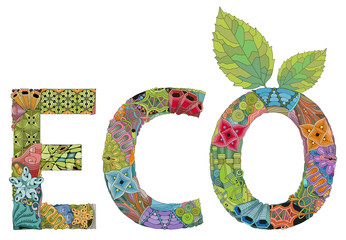 Word eco. Vector zentangle object for decoration