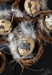 Eggs in nest and white feathers.