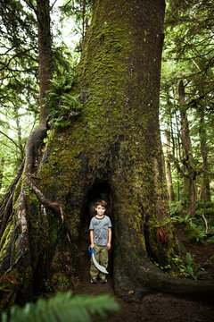 Portrait of boy (4-5) with cutlass in forest 