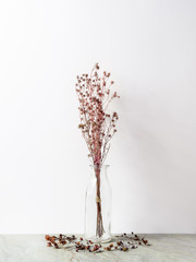 Bouquet of dried and wilted red Gypsophila flowers in glass bottle on matt marble floor and white background