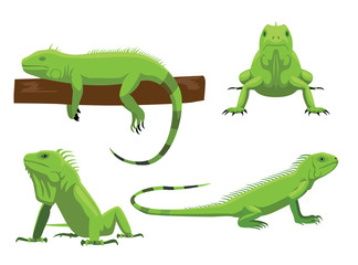 Cute Green Iguana Poses Cartoon Vector Illustration - obrazy, fototapety, plakaty