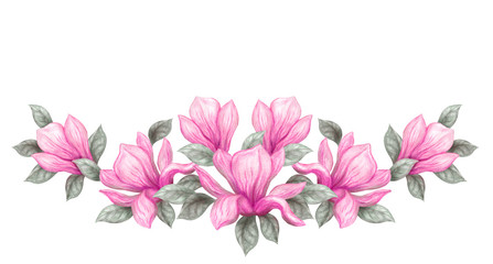 Hand drawn painting watercolor pencils and paints pink magnolia flowers isolated on white background