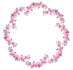 Hand drawn painting watercolor pencils and paints pink magnolia flowers isolated on white background