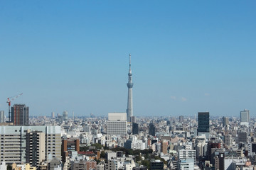 Fototapeta na wymiar 東京の風景　スカイツリー