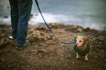 Man walking with dog  