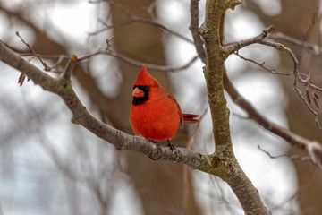 Watching me watching him