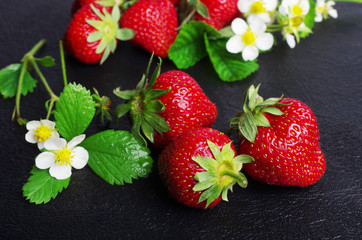 Ripe strawberries on a dark, close-up