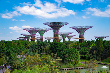 Singapure