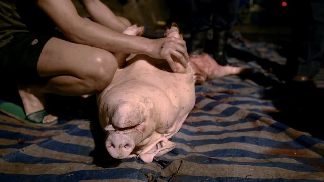 4K, Aboriginal people prepare the pork carcasses after slaughter in the road street at night. Dissecting pig carcass on a farm. Pork meat production. Pigs slaughtering in rural area-Dan
