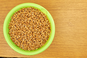 young grains of wheat germ in a deep bright green plate on a wooden table. Dietary vegetarian food. healthy food. bread. copy space