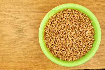 young grains of wheat germ in a bright green plate on a wooden table. Dietary vegetarian food. healthy food. bread. copy space
