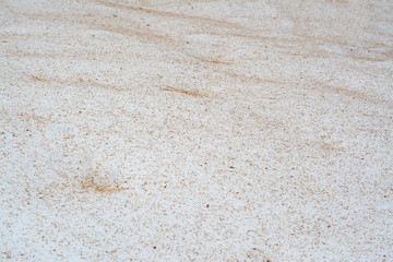 Snow covered with dried plant remains scattered from the trees after the storm