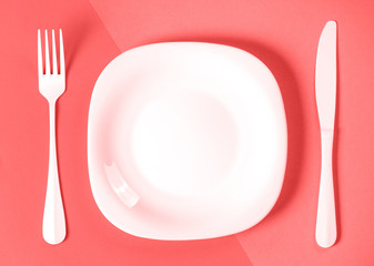 Plate fork knife Cutlery Kitchen Living Coral trend color of the year 2019