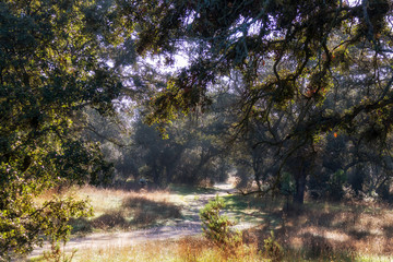 Arroyo de la Fresneda