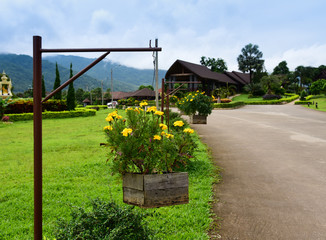 Flower basket at Chiang Rai Province Thailand