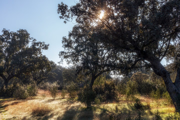 Arroyo de la Fresneda