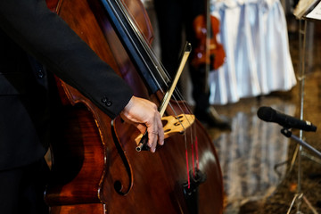 close up musician's hand is playing double bass in indoor event