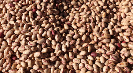 background of many beans